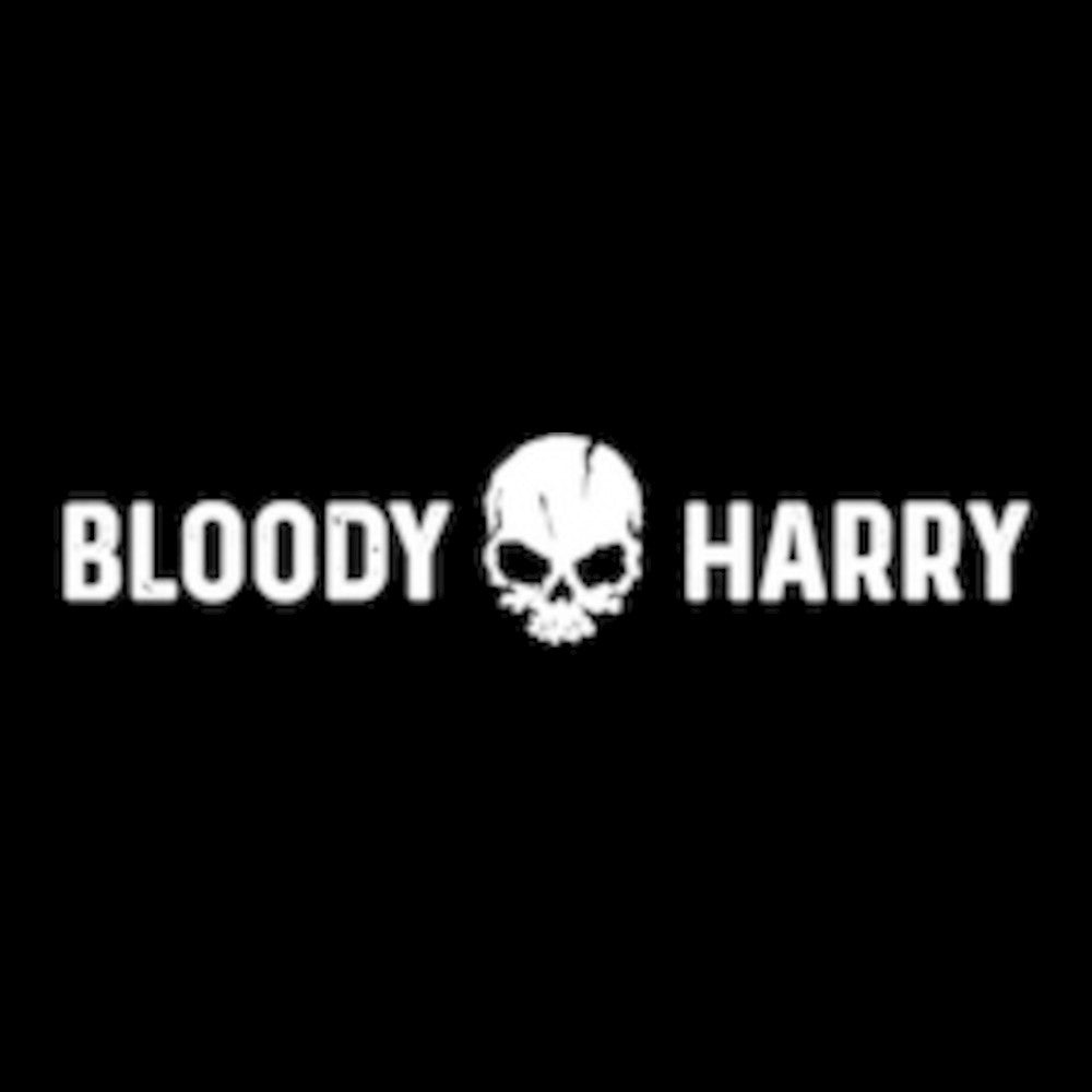 BLOODY HARRY Rum-Spirituose 43% vol. 1 x 0,7L (Glas) EINWEG Flasche