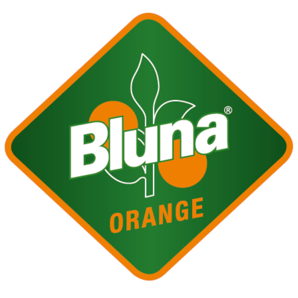 Bluna Orange 24 x 0,2L (Glas) MEHRWEG Kiste zzgl. 5,10 € Pfand