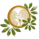 Flora Power Mate 20 x 0,5L (Glas) MEHRWEG Kiste zzgl. 4,50 € Pfand-3