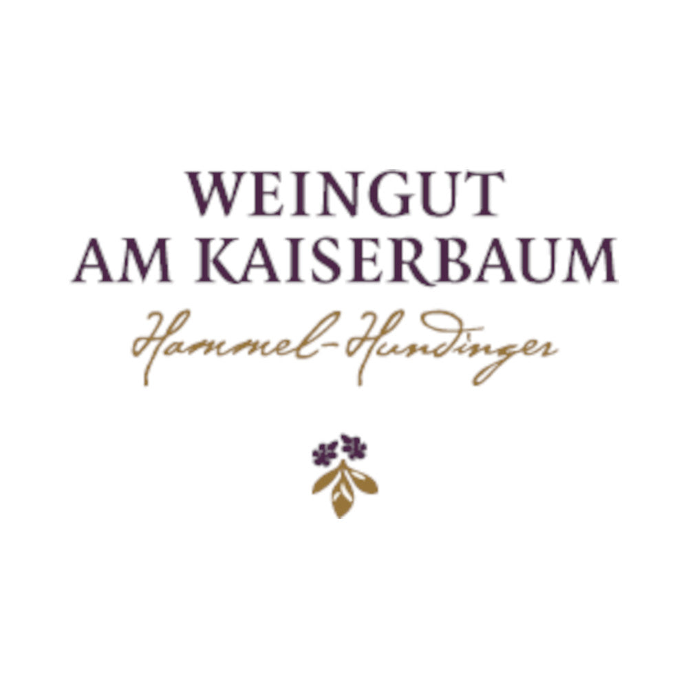 WaK Grauburgunder „Vum Wingertshaisel“ 1 x 0,75L (Glas) EINWEG Flasche-2